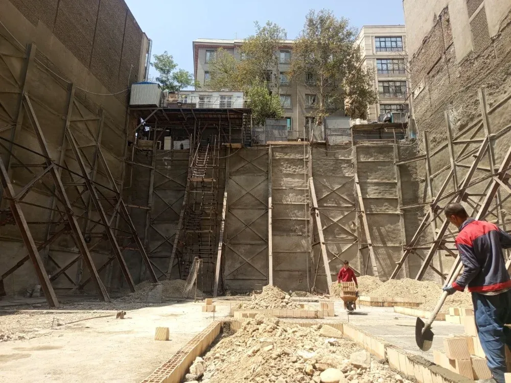 نمونه‌کار: مجری ذیصلاح حقوقی
